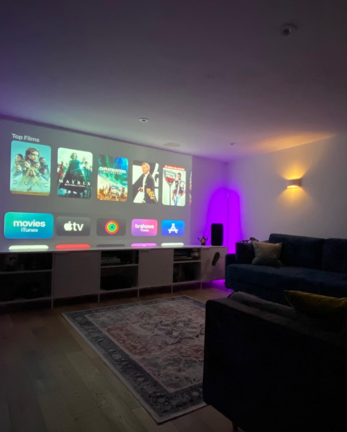 Garden cinema room with large screen by Into The Garden Room